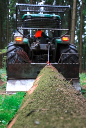 Waldbewirtschaftung - Zusätzliche Leistungen 2